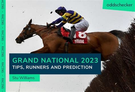 grand national odds checker|Grand National Runners and Riders, covering all the horses, .